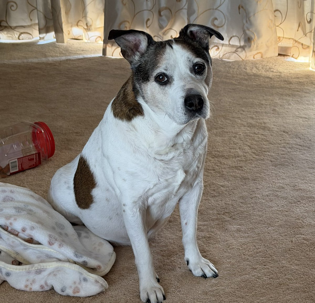 Scott Juba tweet media