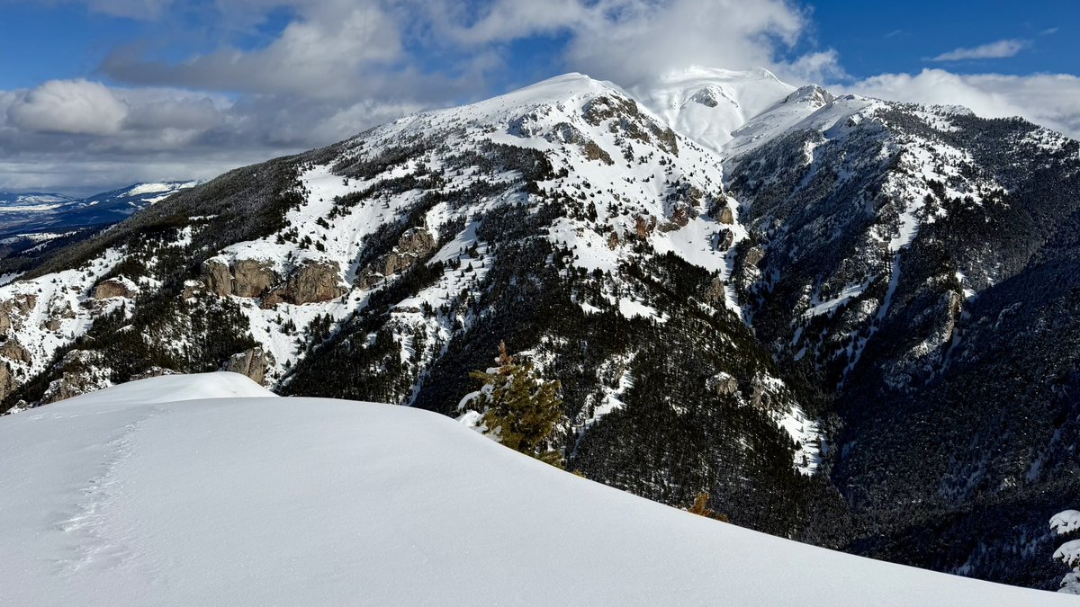 Jaume Jubert Ferré tweet media