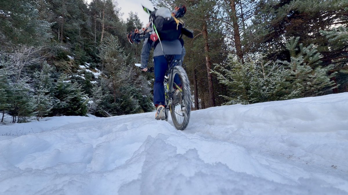 Jaume Jubert Ferré tweet media