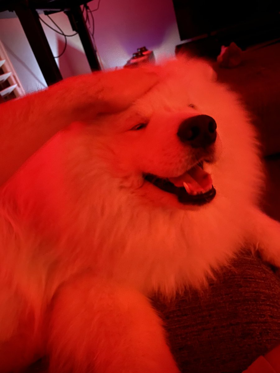 wayneradiotv tweet media