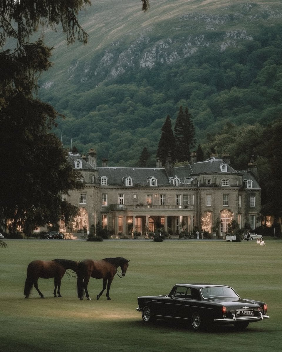 بحر 🌊 tweet media