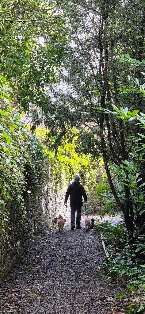 Lord Wicket 🐾🏴󠁧󠁢󠁳󠁣󠁴󠁿 feat. Lady Bogle 🐾🥰 tweet media