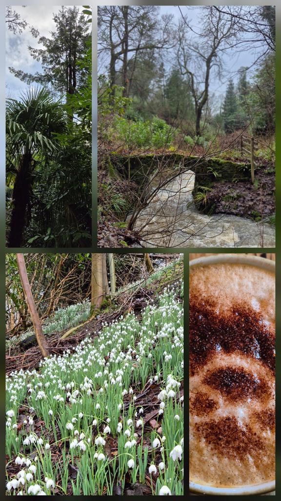 Lord Wicket 🐾🏴󠁧󠁢󠁳󠁣󠁴󠁿 feat. Lady Bogle 🐾🥰 tweet media