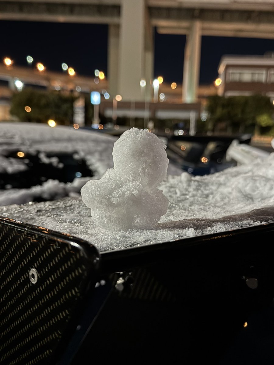 m_bwyy's tweet image. アヒルって言われた雪だるま