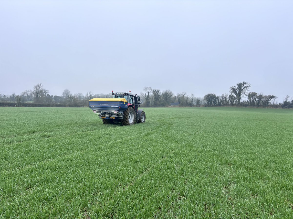 Conall Moore tweet media