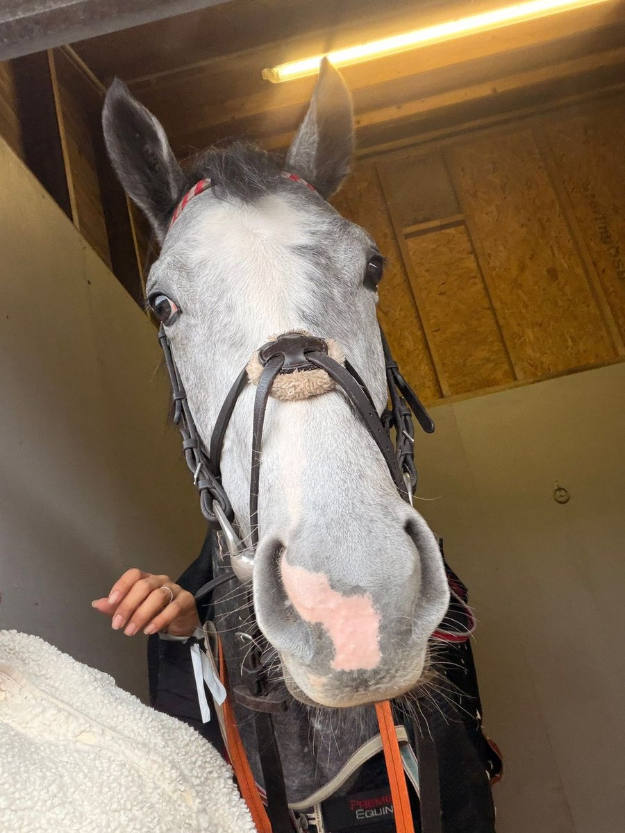 Peak Racing tweet media