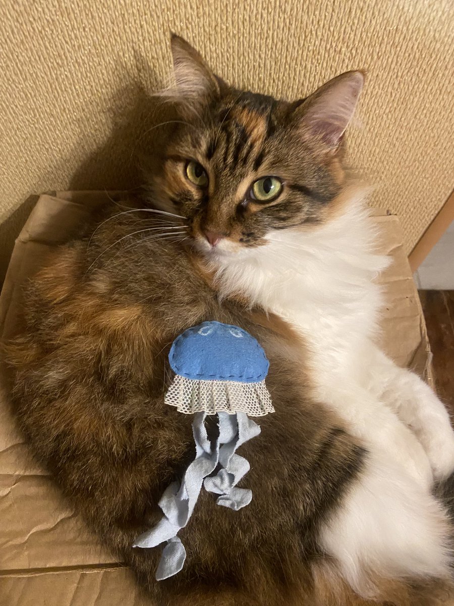 pearlli_bonk's tweet image. noriko!!!! #tetrotwt