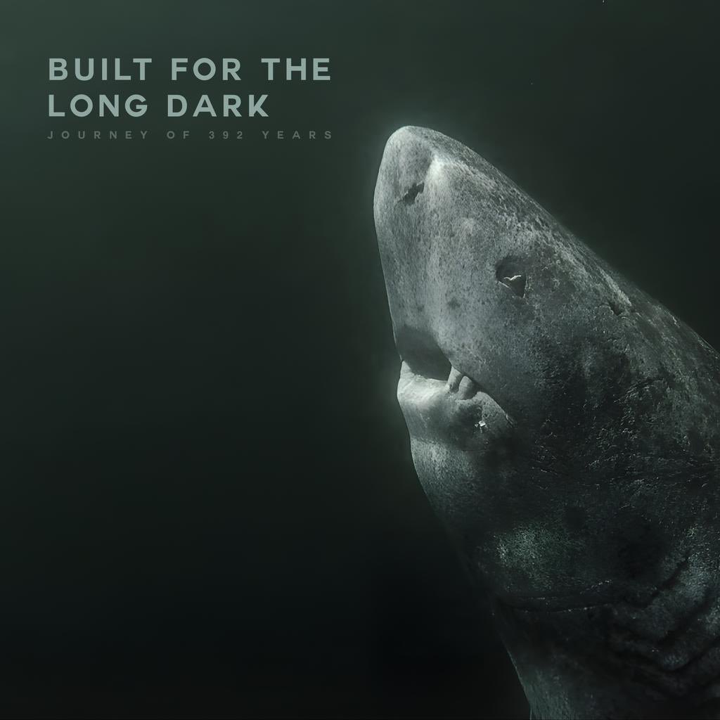 remix100x's tweet photo. once again bringing some light to OG $SHARK — just hear me out before you judge the current volume 🦈

if you’re tapped into narratives, you’ve seen it already:
the Greenland shark — the oldest living vertebrate on Earth
400+ years of survival. real biology. real story. https://t.co/jZqYZ6TuGU