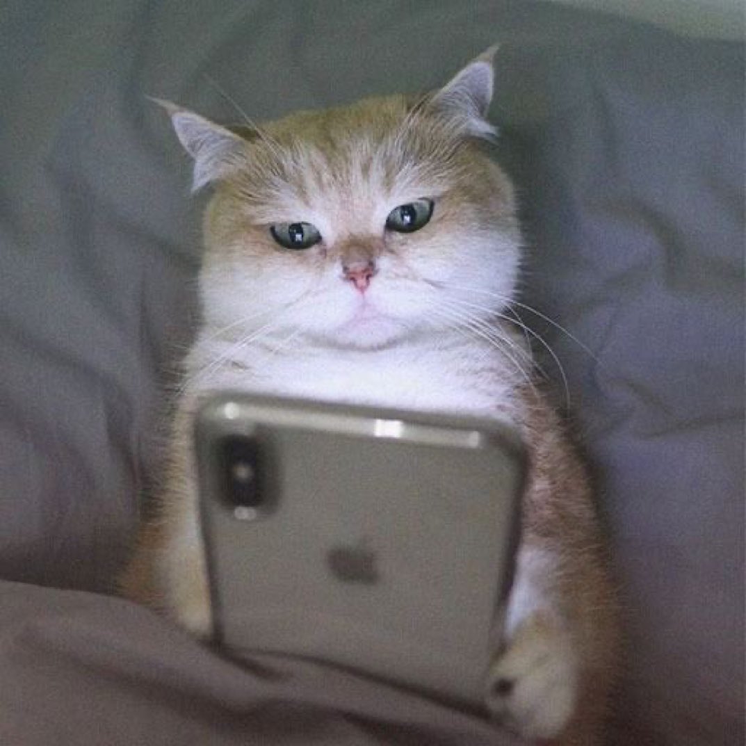 Me the entire day: "I'm so tired"

Also me at 3am doing a quiz to find out which breakfast cereal I am: