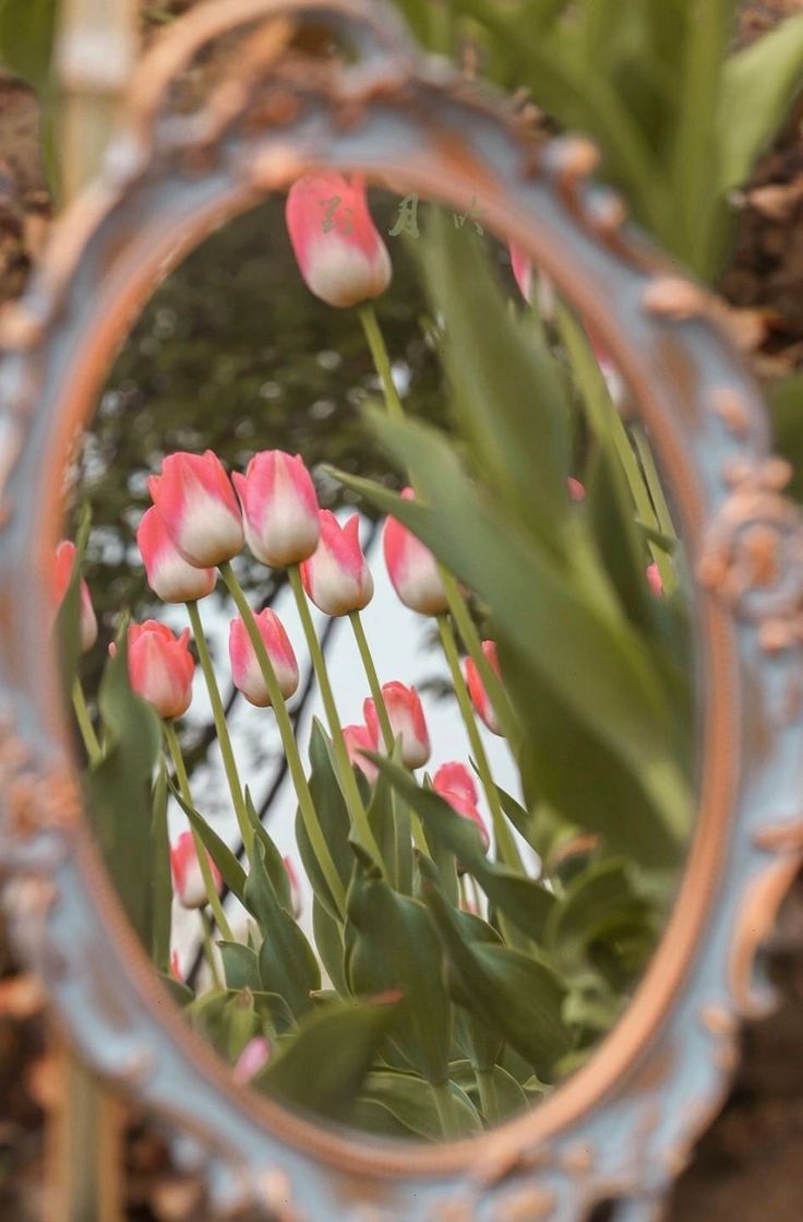 ᅠ ᅠ (@greendreaams) on Twitter photo 