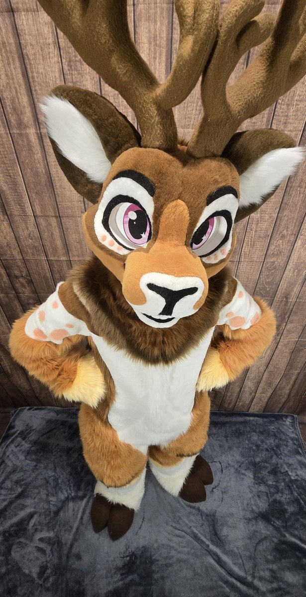 The Bakery tweet media