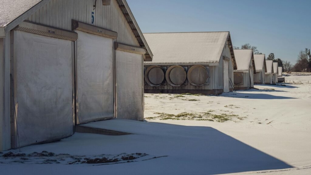 ShedCalc's tweet photo. Winter 2026 Shed Planning: Beat the Cold with Smart Prep 

As February 2026 chills much of the U.S., now’s the ideal time to plan your backyard shed before spring demand spikes lumber prices. https://t.co/X9wr0kxyKo helps DIYers and pros alike crunch num… https://t.co/Qq2e2WMW40 https://t.co/HN8ogcB1Us