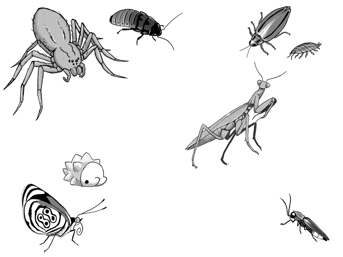 1Karissel's tweet photo. Day 8 of #Bugmonth
Who's that pokemon? https://t.co/vhe5ZhLDaO