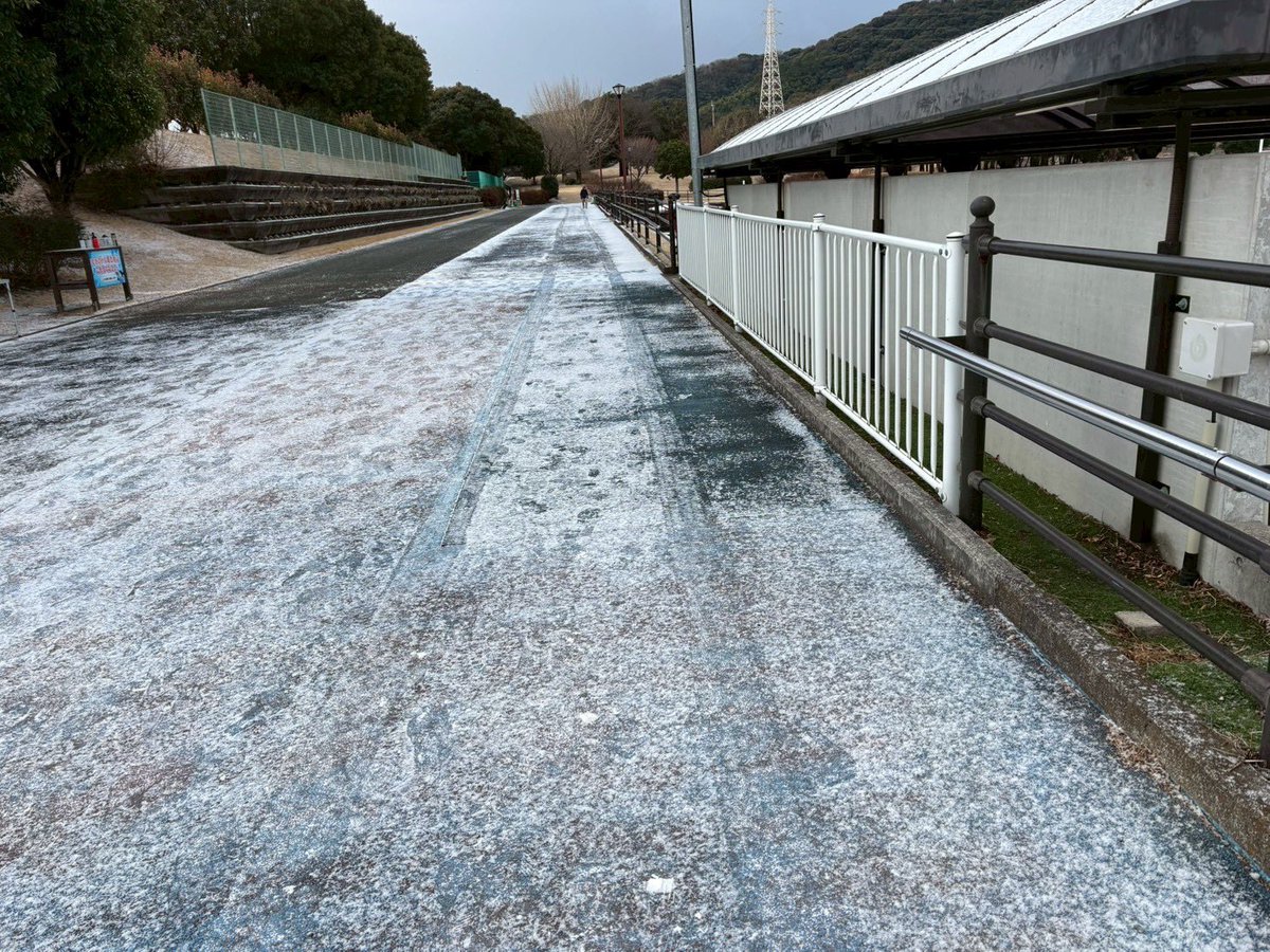 ヘブンさん熊本の冬も寒いですよ🤔