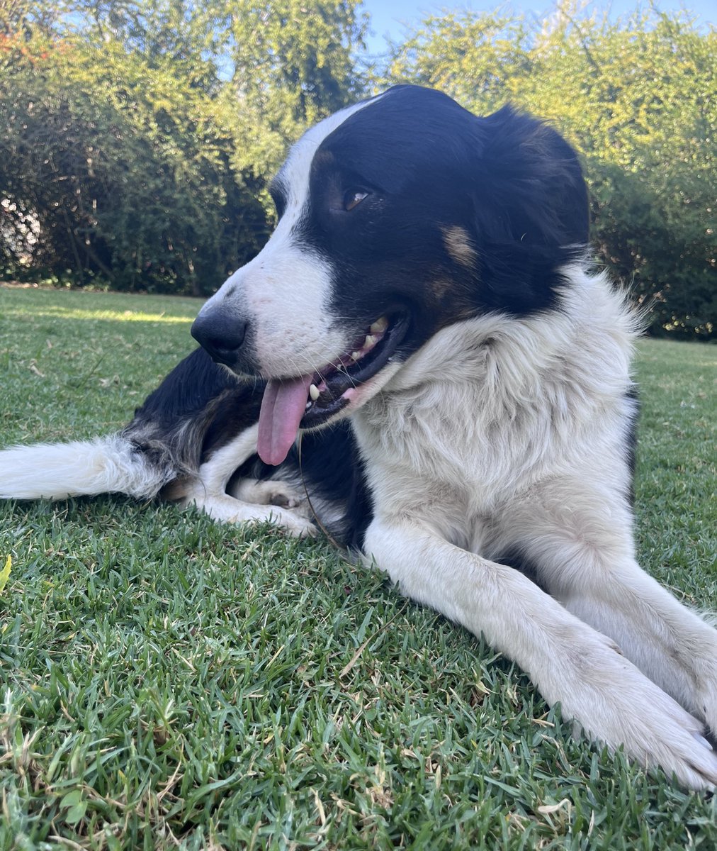 hoy estuve con este bebito me lo quería robar 🥹❤️