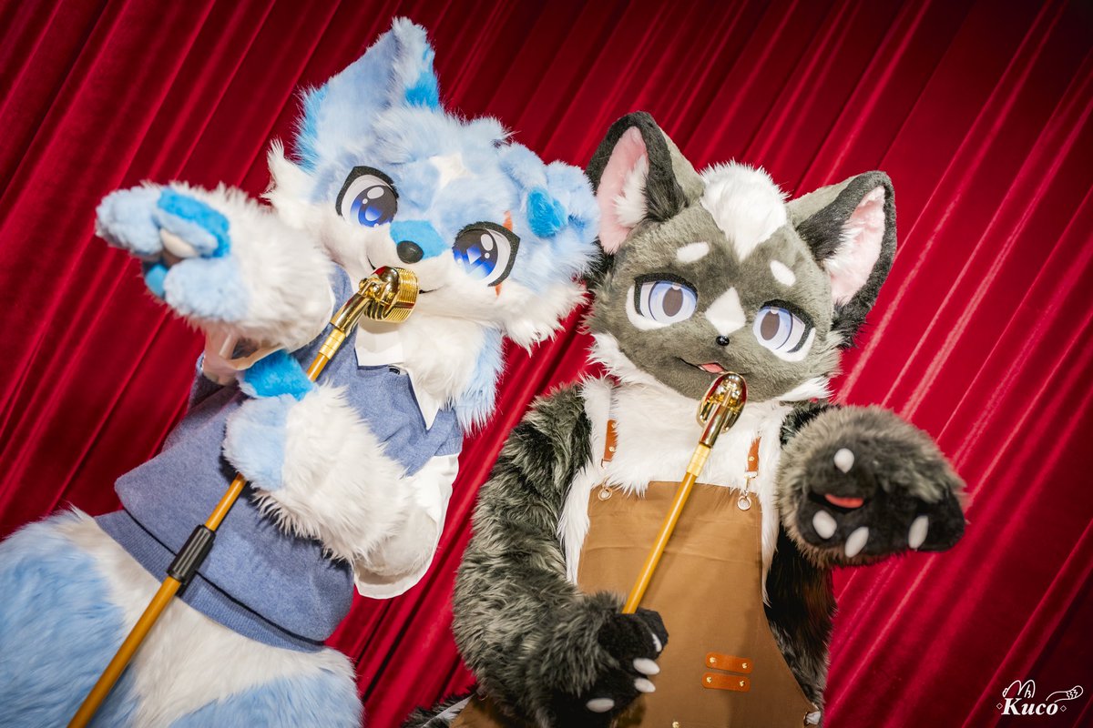 KimSeolhea03's tweet photo. ✨🎶🐟𝓭𝓾𝓮𝓽!!🦨🎶✨
“ 활기찬 한 주의 시작 월요일은 우리의 노래와 함께!”
#FursuitEveryday #fursuit
#동해번쩍_설해번쩍 #아로아로 https://t.co/erC9fVD5A7