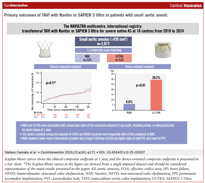 EuroIntervention tweet media