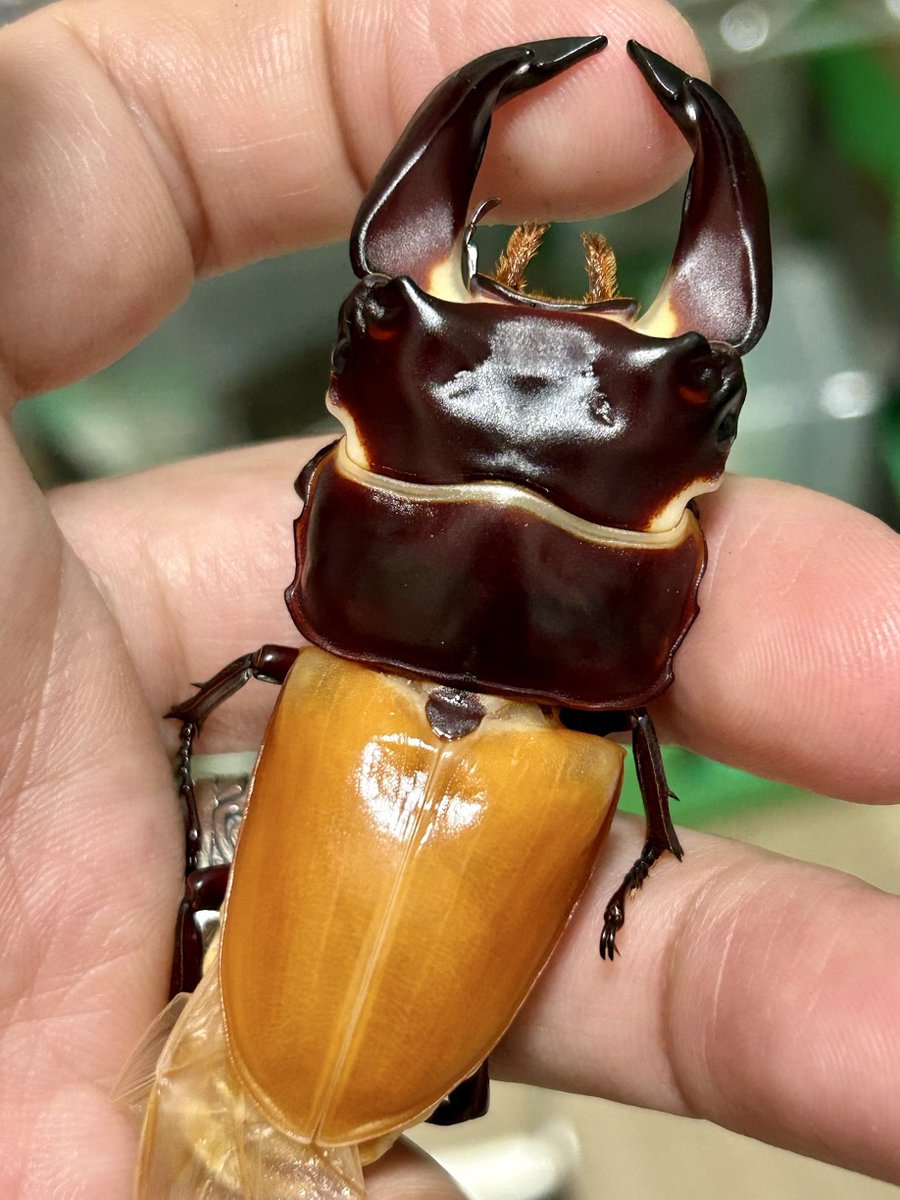 雰囲気あるねー。