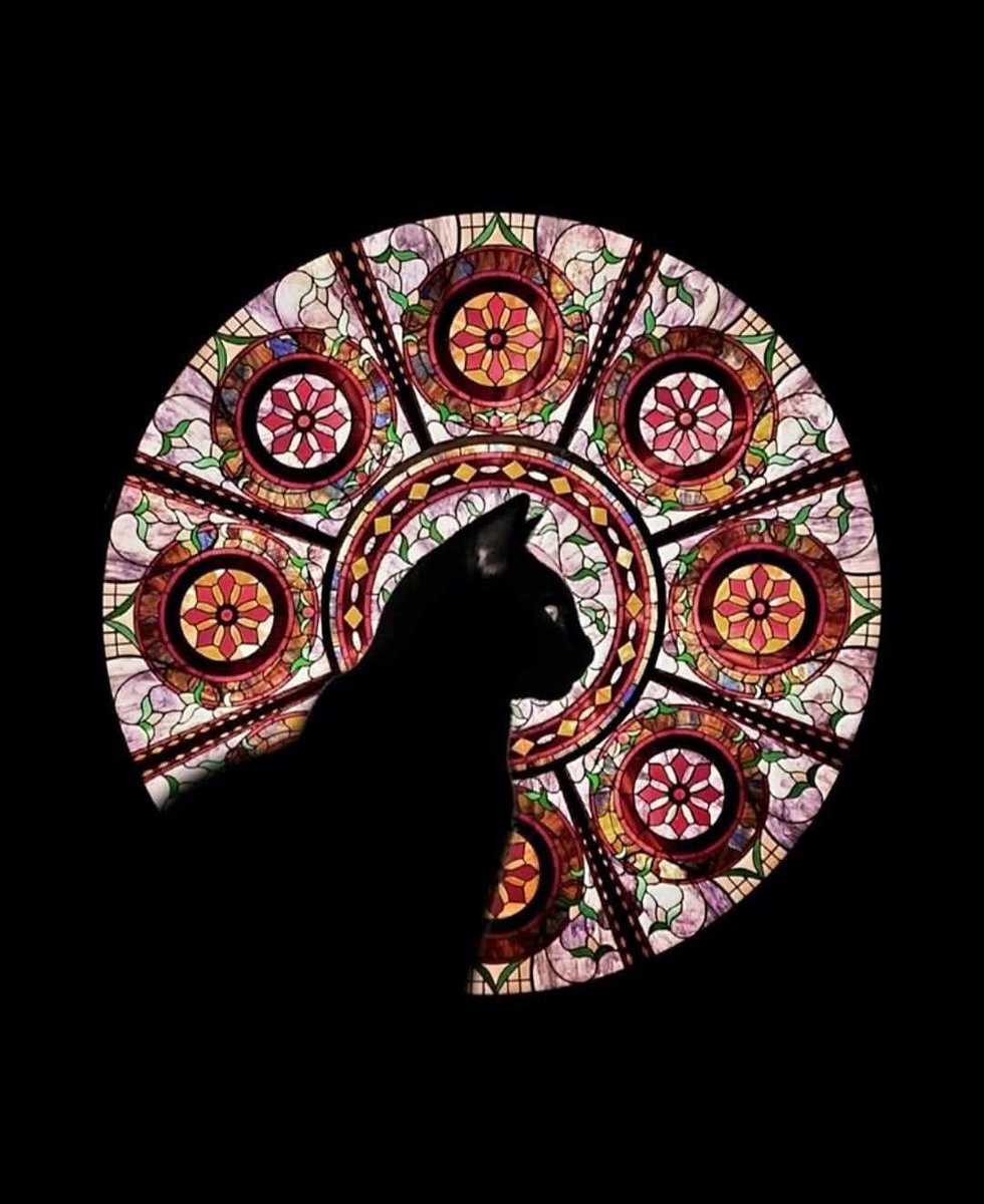 Black. (@blackdreamvibes) on Twitter photo 