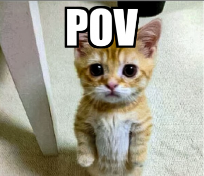 SoftTibbies tweet media