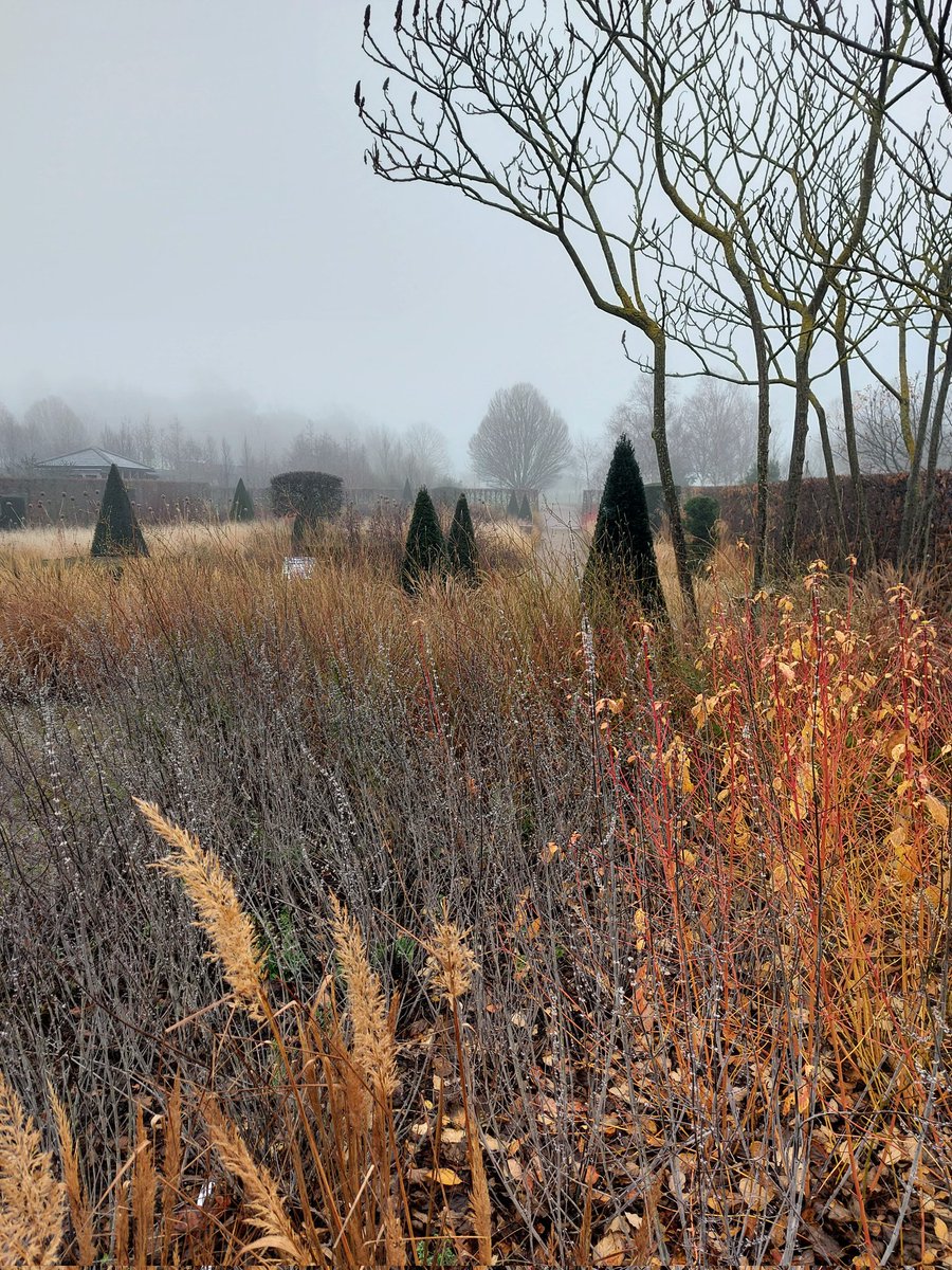 markmay2hew's tweet photo. Modern Country Garden. RHS Hyde Hall. https://t.co/jMvhrILlt9