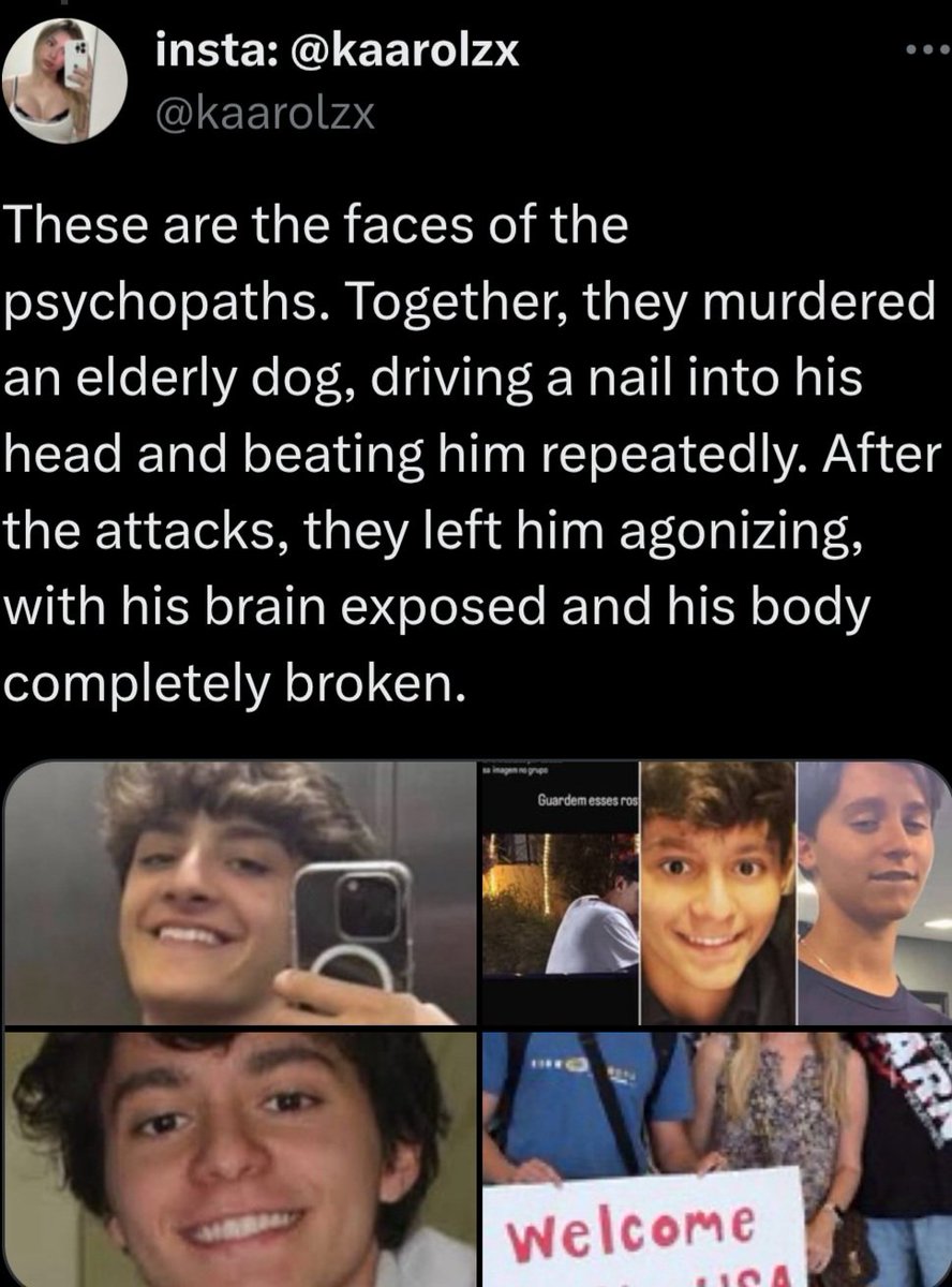 PhaedraXTeddy's tweet photo. 6 rich men and their female enabler are free in #Brazil after torturing many dogs. 
Enforcement of that law is lacking. 
#justicapororelha #JusticaPorChico 
#JusticaPorCaramello #Justicaporpretinha .... and countless dogs and cats in #Brazil 🇧🇷 killed for online "challenges". https://t.co/WvuLjLHFvB