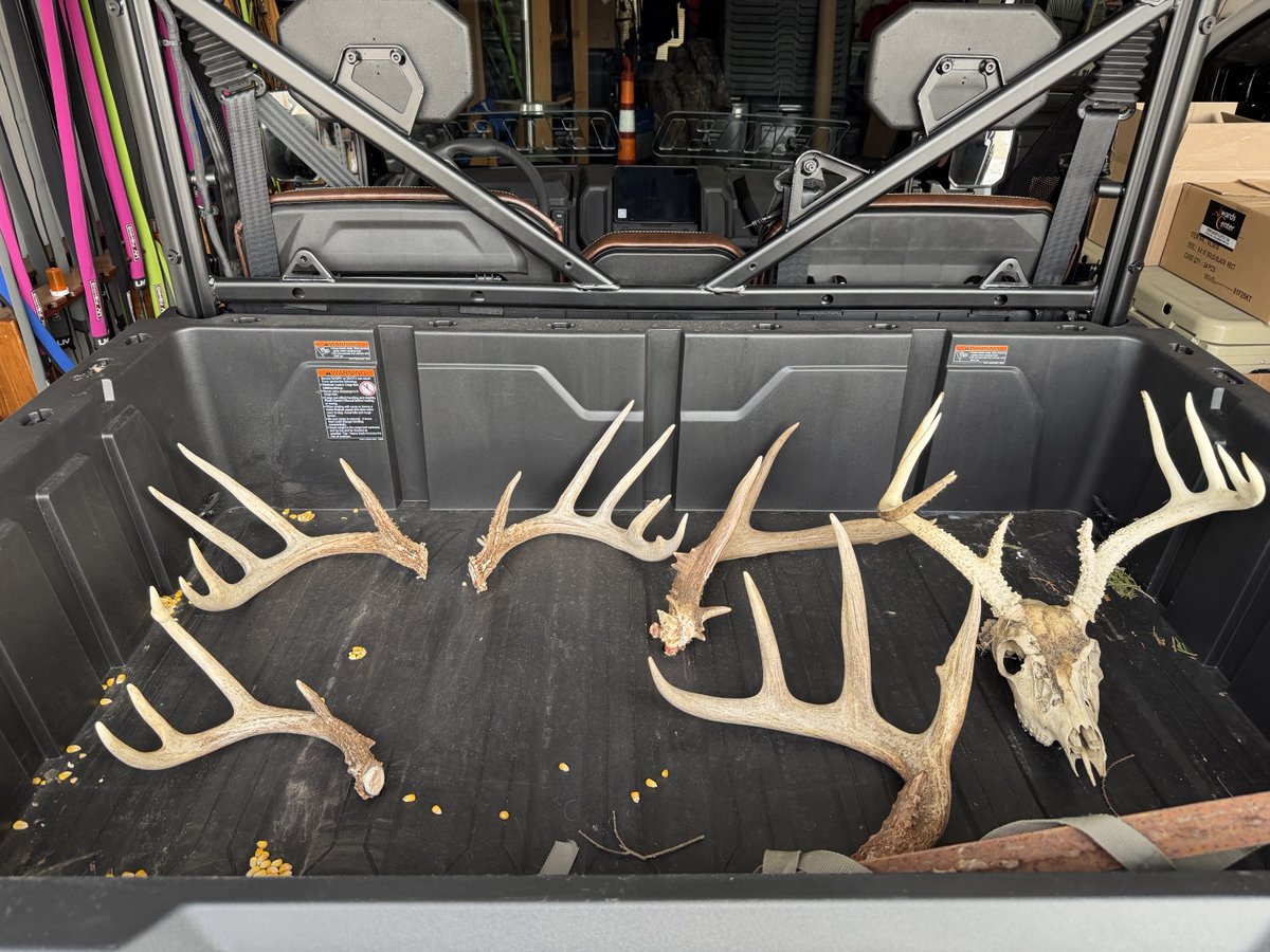 Steve Smith tweet media