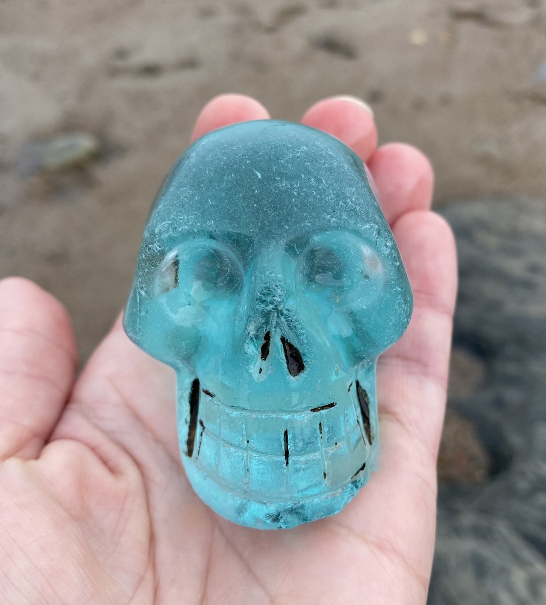 Rockpool School tweet media