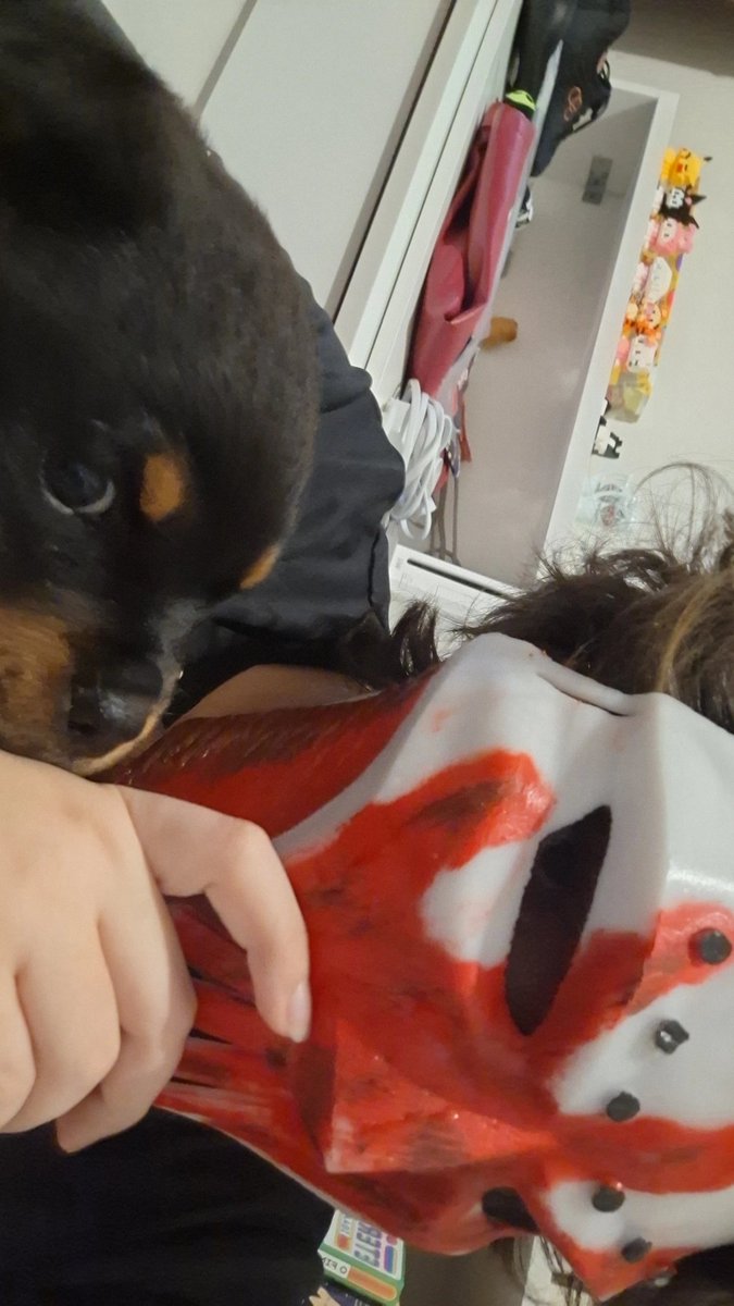 thur jurídico jasper ! tweet media