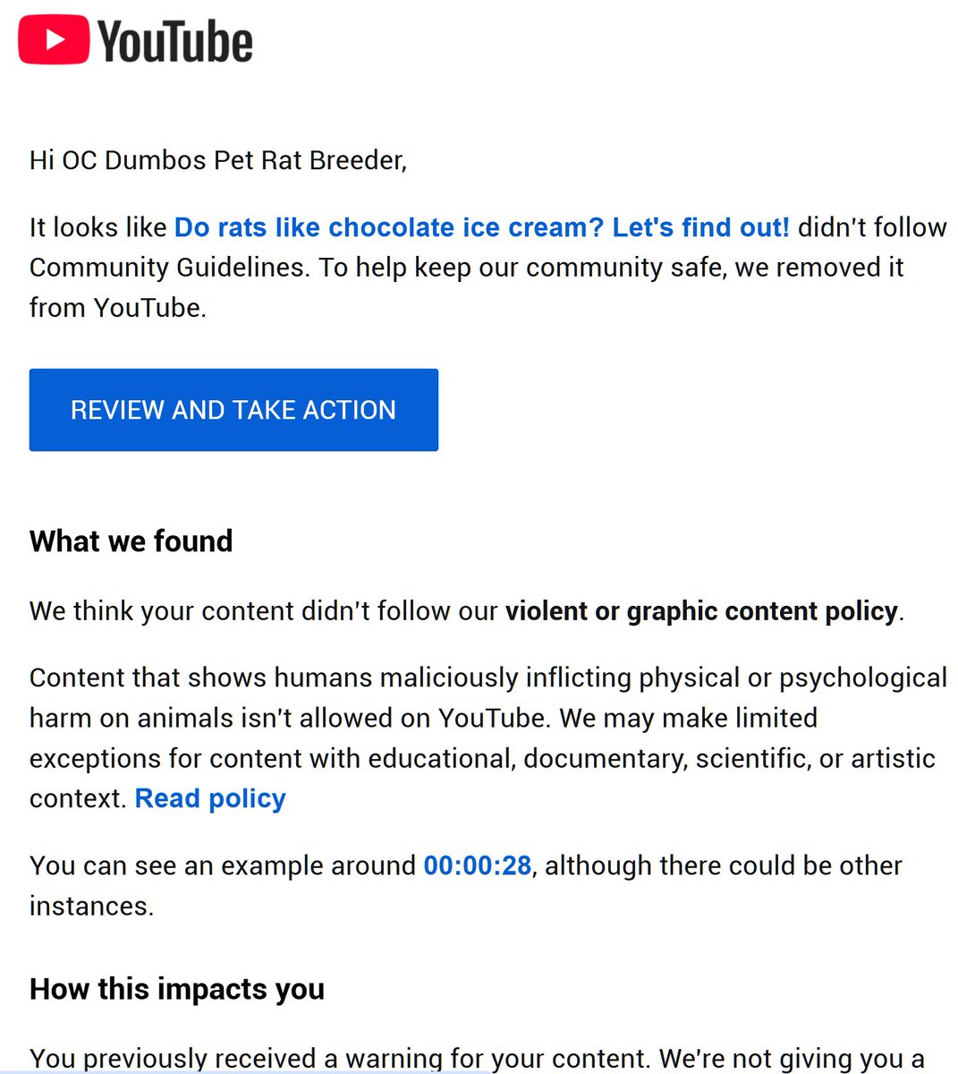 brian starr 🐀🥰 tweet media