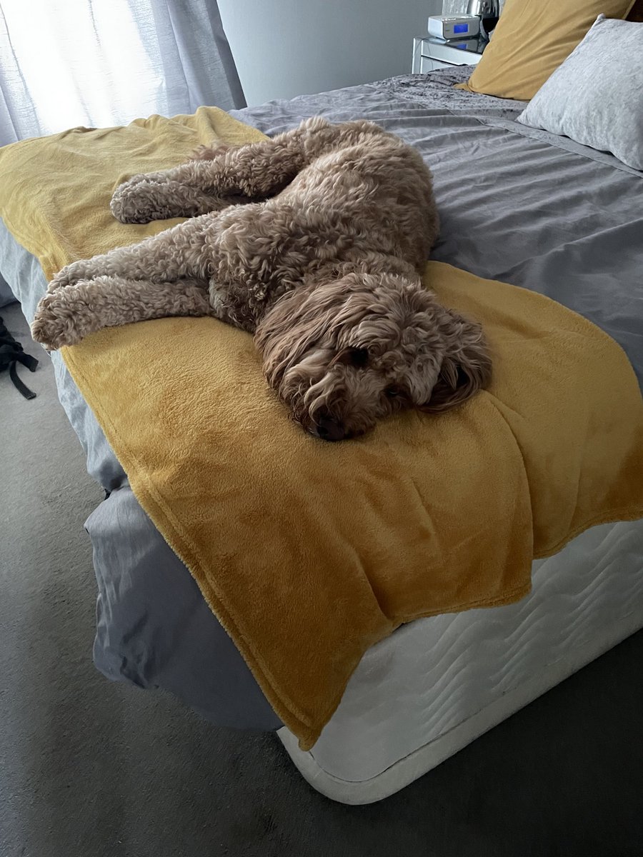 ®️🅰️Dℹ️💲♓️ tweet media