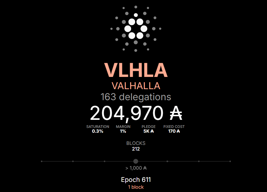 Valhalla Pool - |VLHLA| tweet media