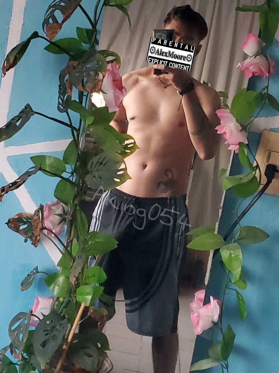 ☢∀lǝx ꟽooɹǝ☢ tweet media