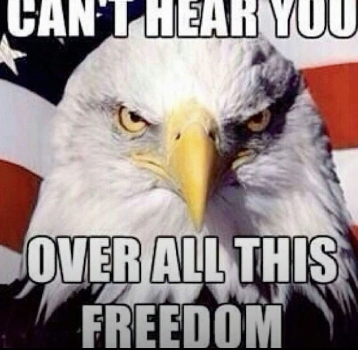 💎✝️LoviMMA✝️💎 tweet media