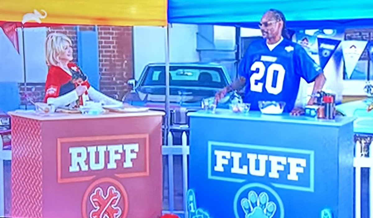 Um, #PuppyBowl > #SBLX . Just saying.