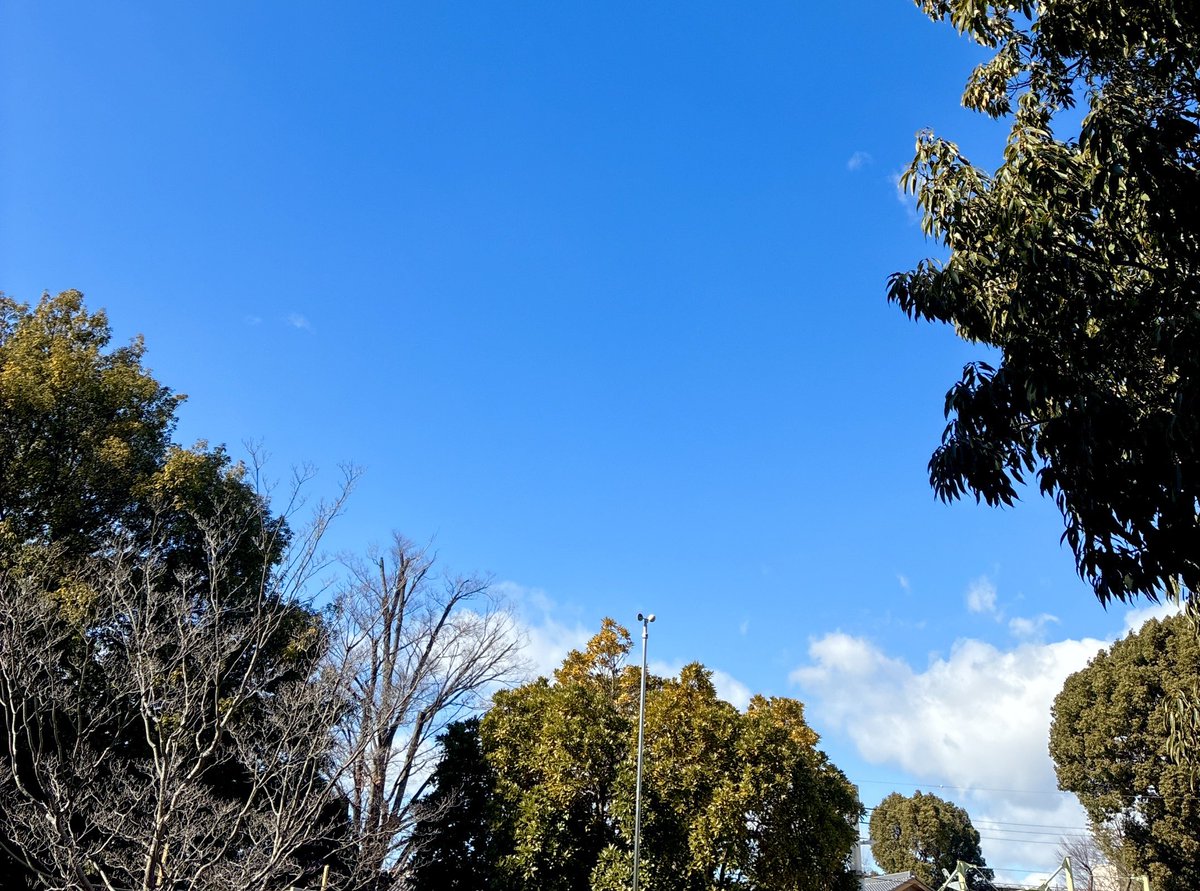 公園で見上げる青空が好きです✨ 同じ空でつながってる そう思うと