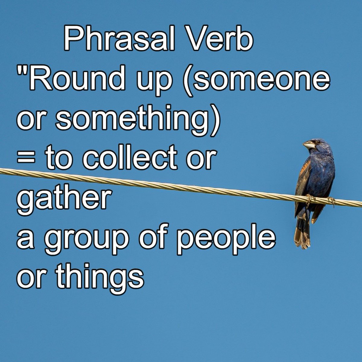 IdiomConnectio1's tweet photo. 💙Phrasal

💙"Round up someone or something" - to collect or gather a group of people or things

💙"We were able to round up enough people to play football last night."
💙"We need to round up the children for lunch."
💙"Will have to round up some chairs for the meeting." https://t.co/rTqkPeSSwF