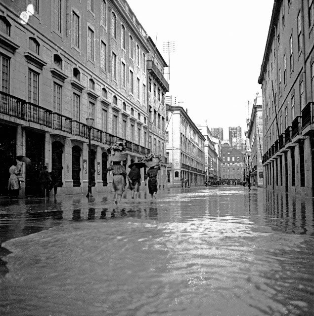 Stephen ₿liss tweet media