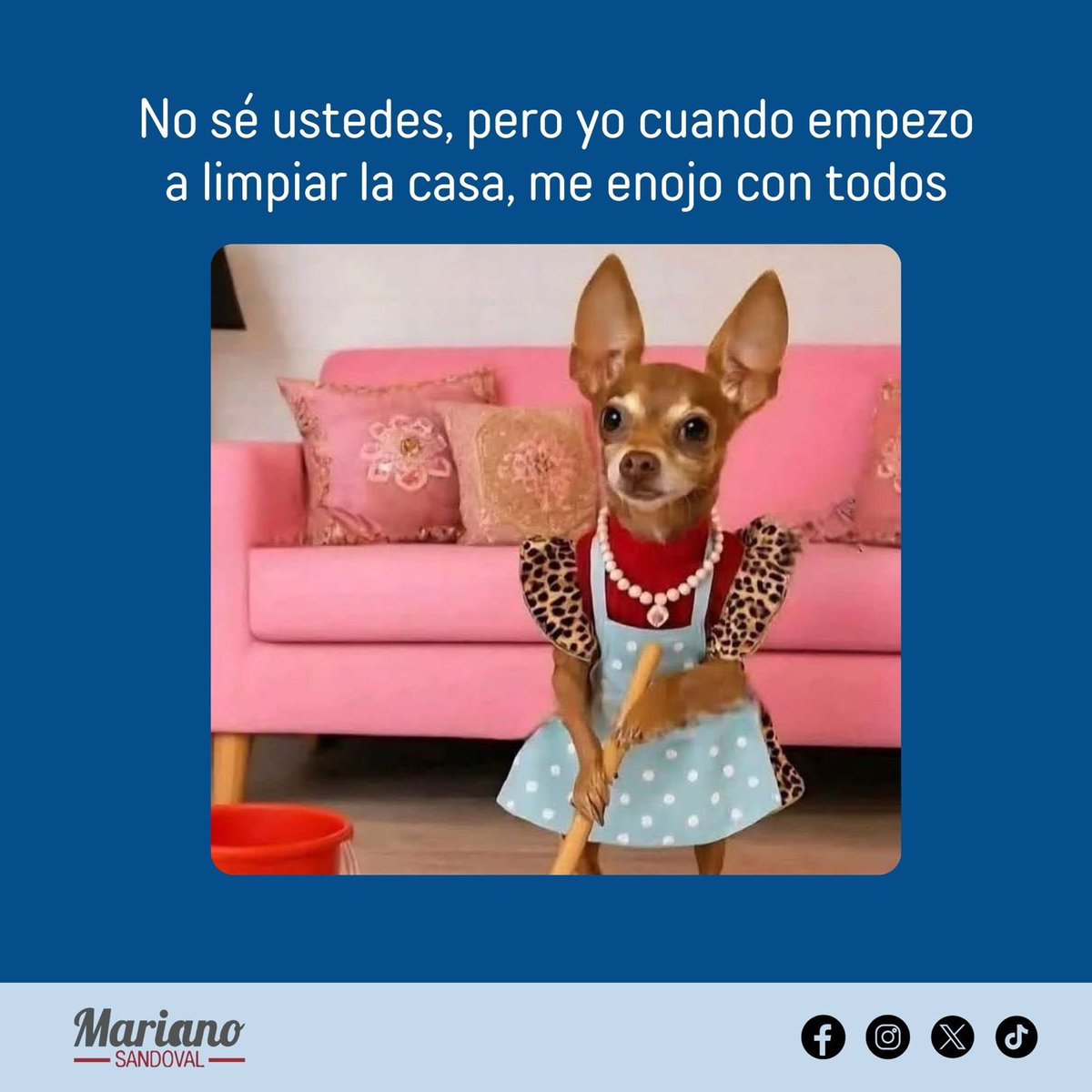 A quién más le pasa? 😡🧹😅