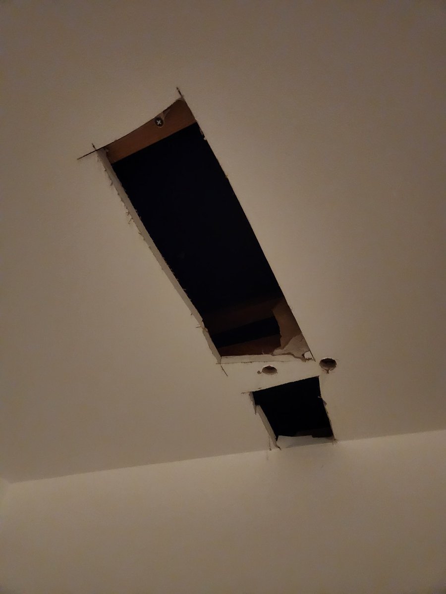 Devy 🦴 🎀 ENVtuber tweet media