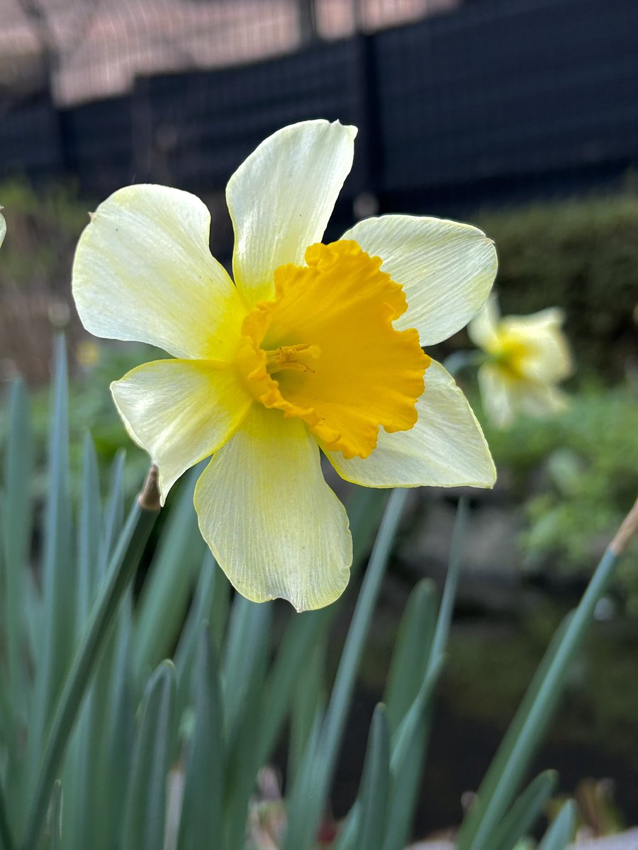 素敵なkiyoさん おすすめポチッとです〜💕🫶
