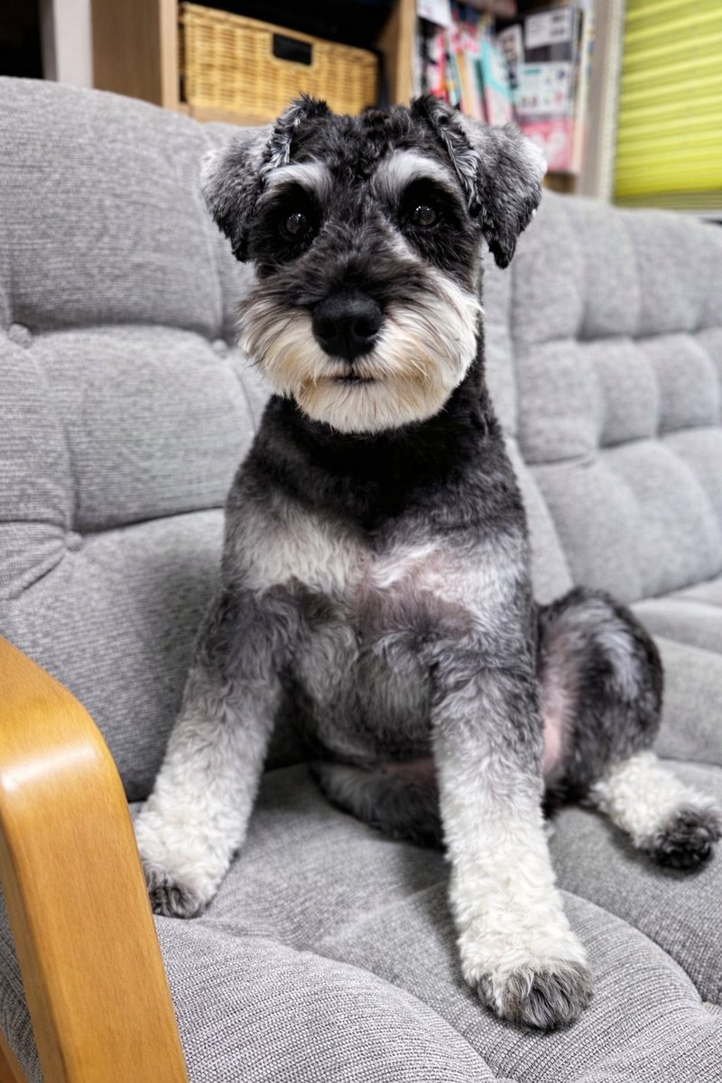 レモン (@920Moomin) / Posts / X