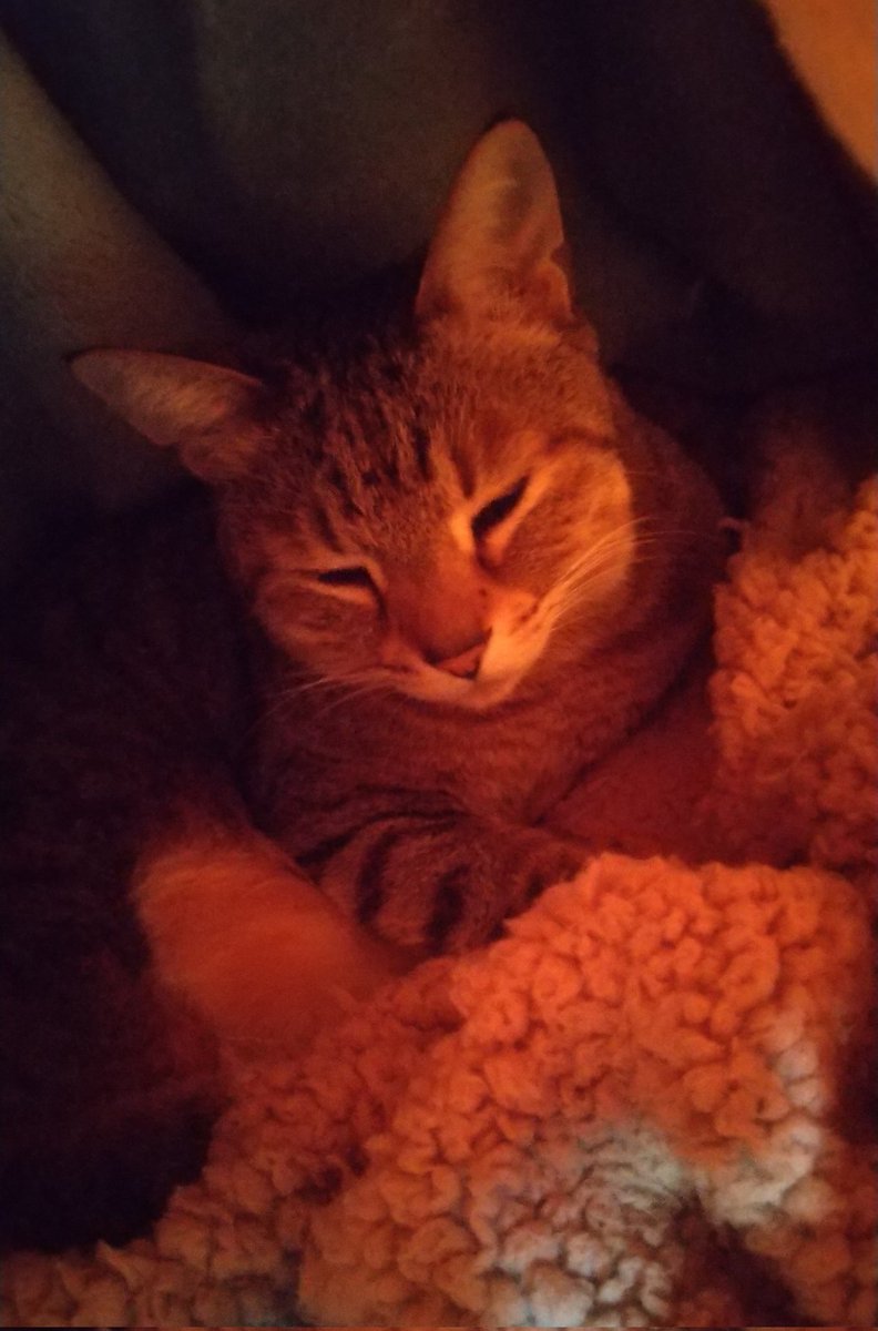 寒くて中々出てこない笑