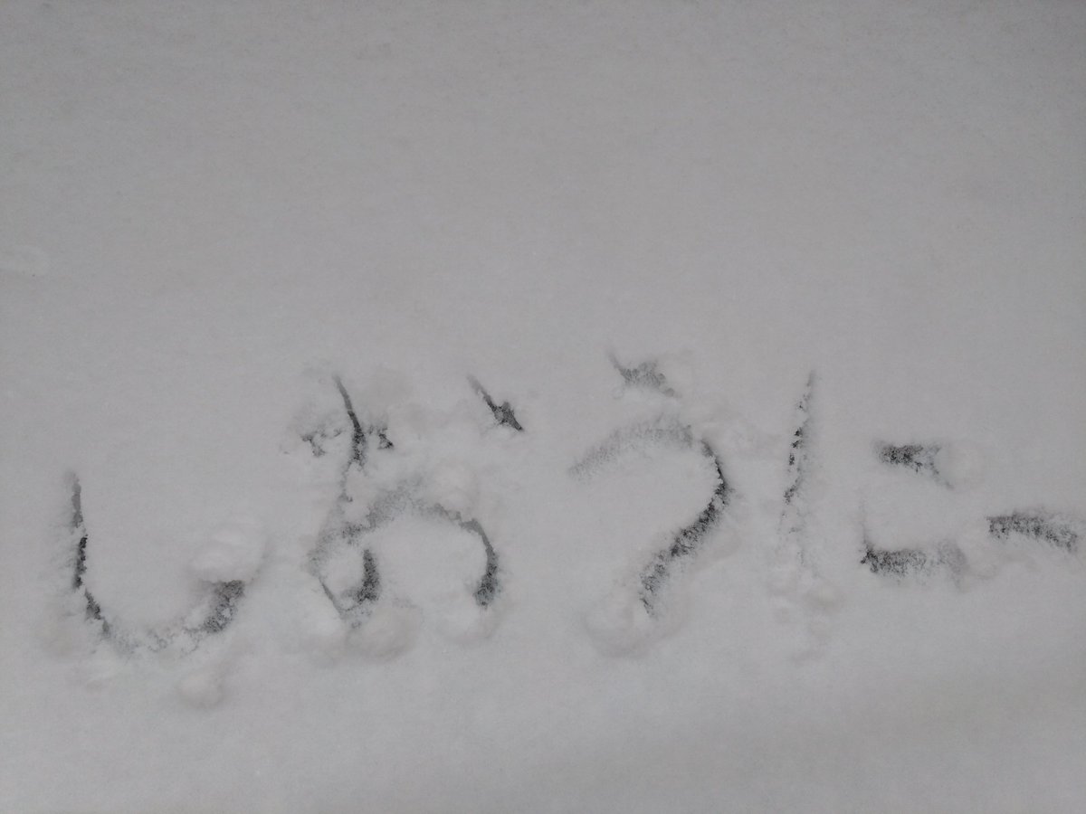 しおうに tweet media