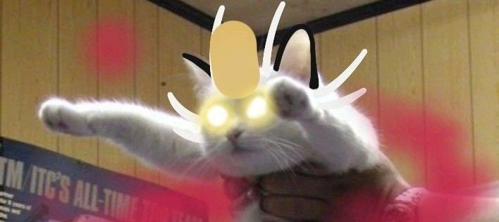 Pokémon Daily Post💫 tweet media