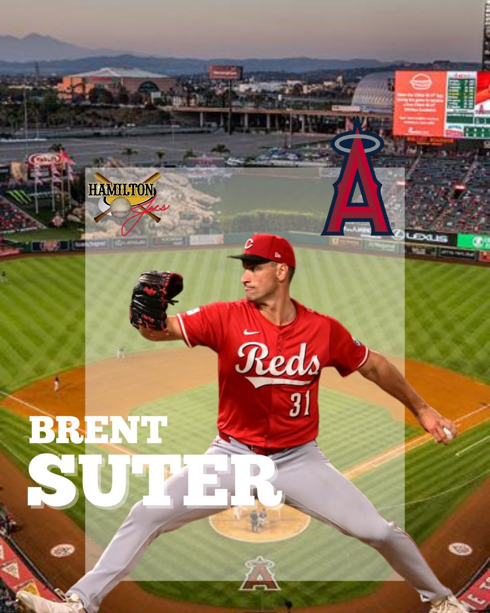 Hamilton Joes tweet media