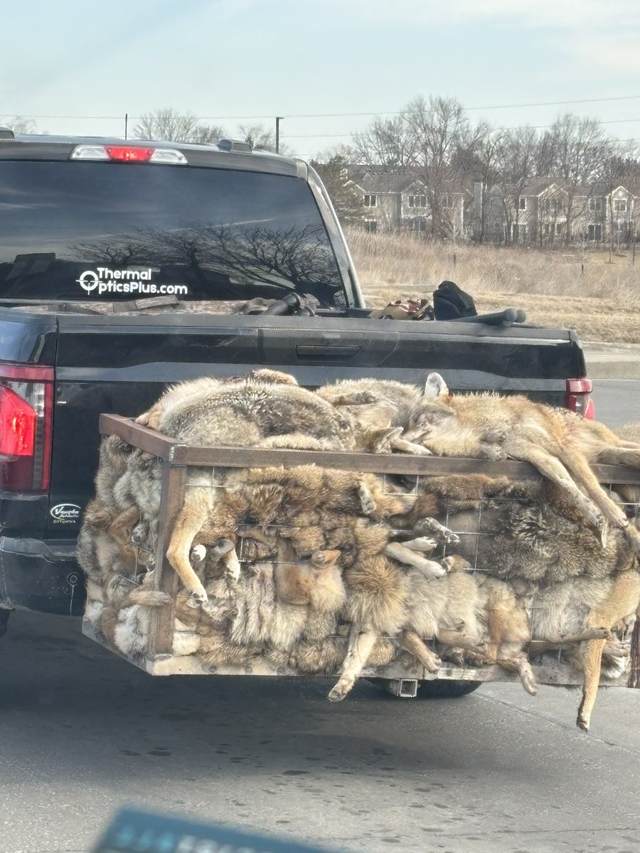 Claire Standish tweet media