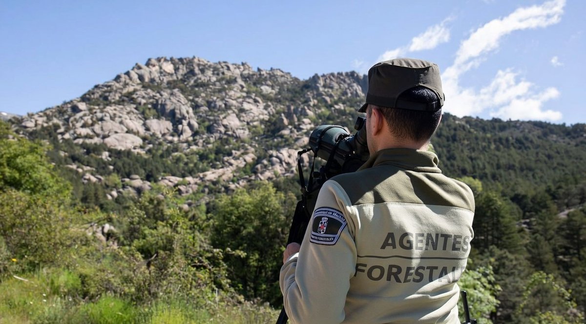 Los #AgentesForestalesCM 👮‍♂️🚔🦅 realizamos un seguimiento constante de aves protegidas.

Este trabajo es esencial para la biodiversidad, detectar amenazas tempranas en las poblaciones y proteger sus lugares de anidación. 

#AgentesForestalesCM
#PoliciaMedioambiental