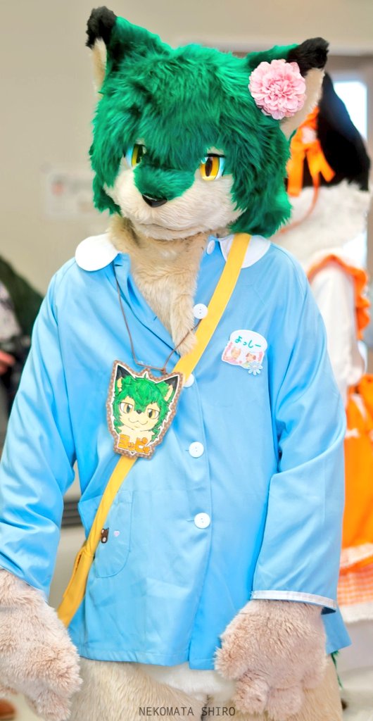 ﾖｯｼｰ🐾→？ (@hmsqm759okami) / Posts / X