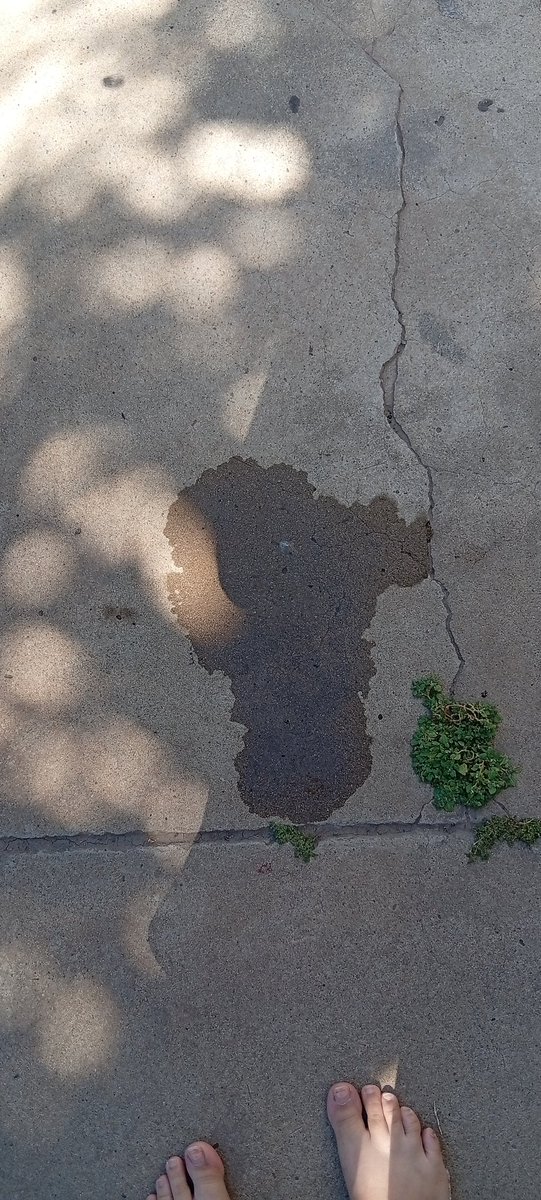 🪷 Beom tweet media